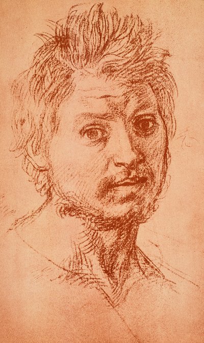 Tête virile - Andrea del Sarto